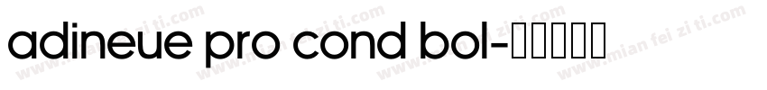 adineue PRO Cond Bol字体转换